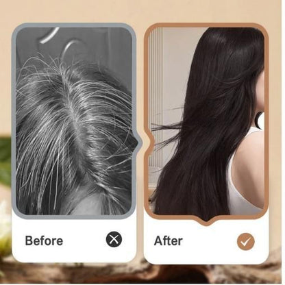 Single Agent Herbal Hair Colorant 100 ml (Pack of 2)