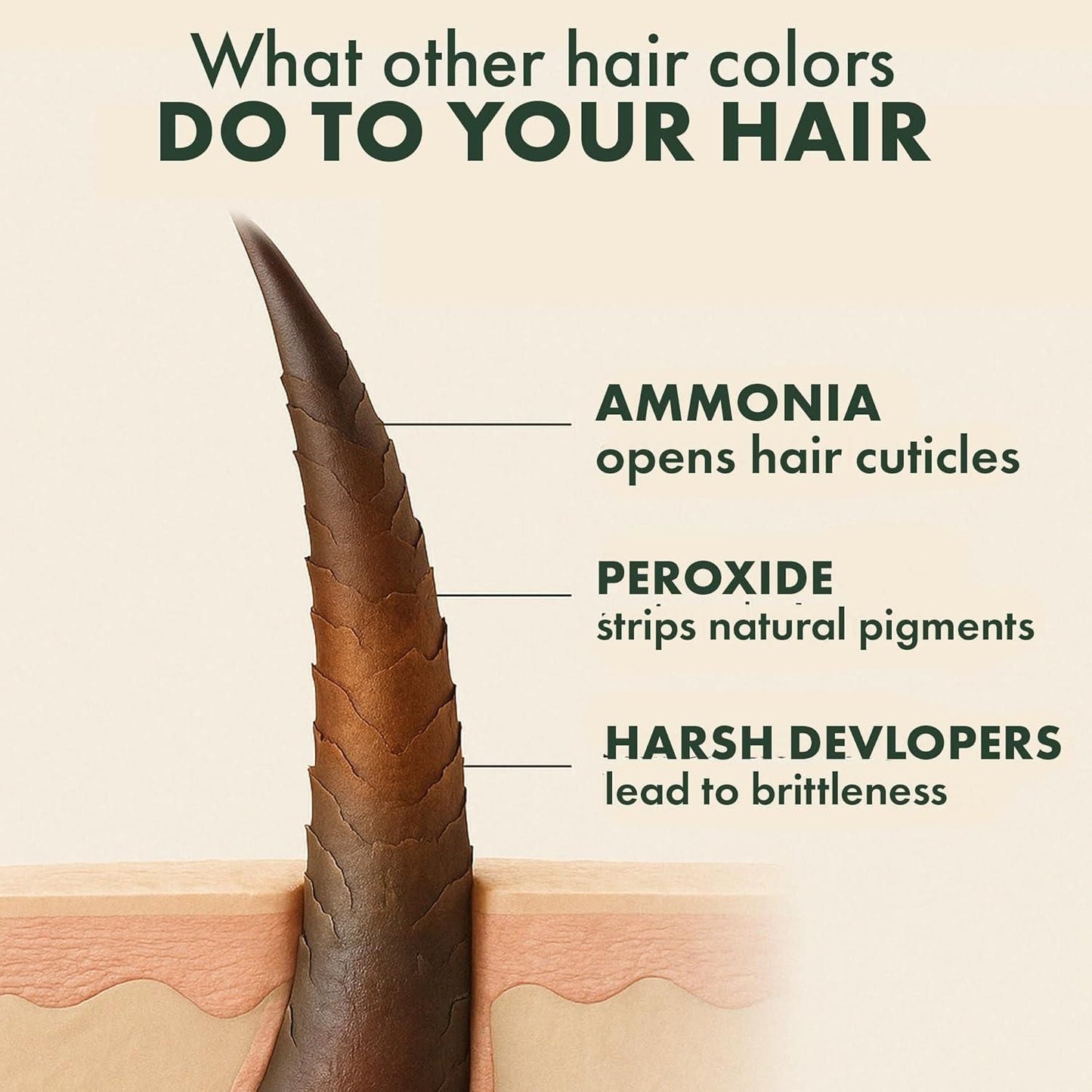 Single Agent Herbal Hair Colorant 100 ml (Pack of 2)